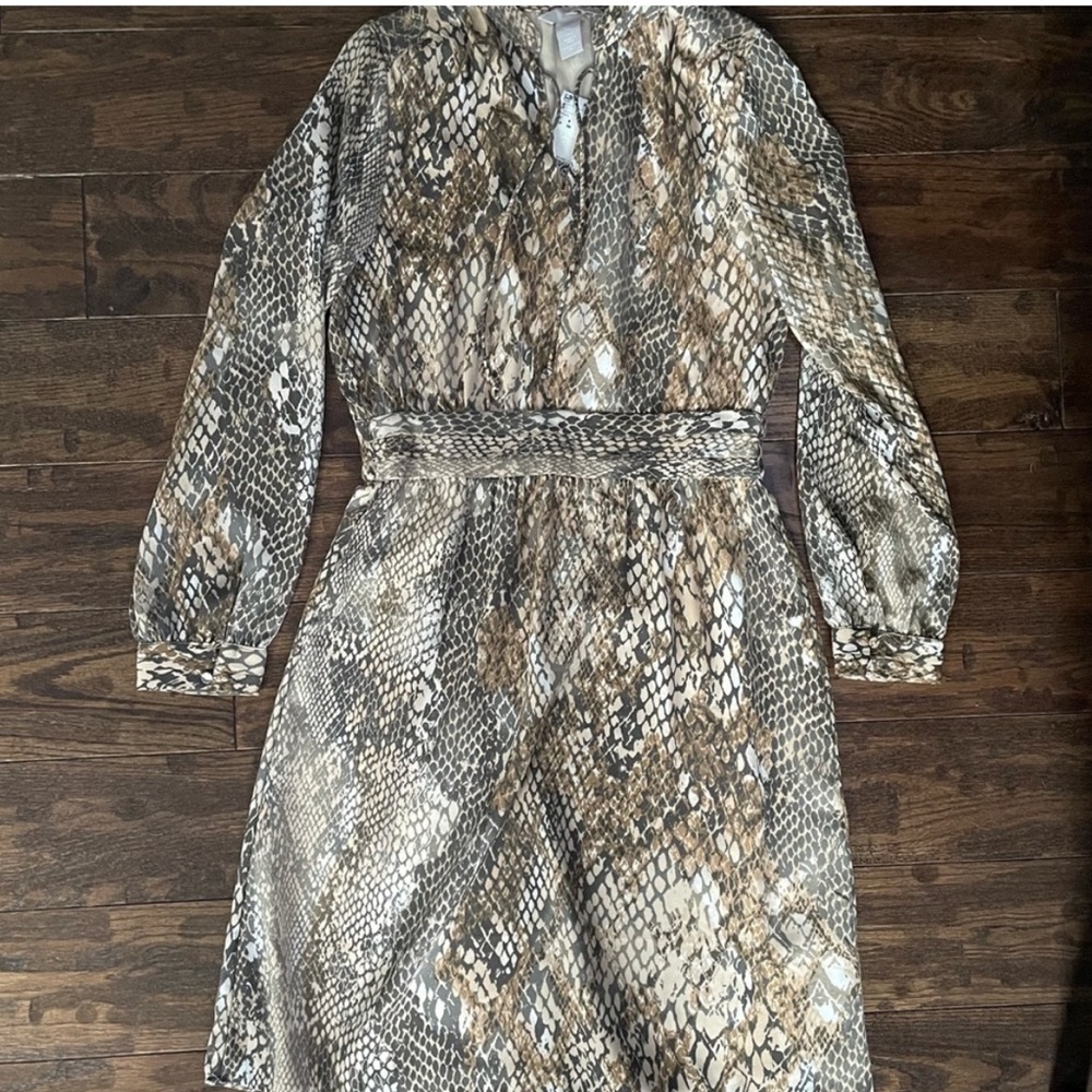 H&M Snakeskin Dress